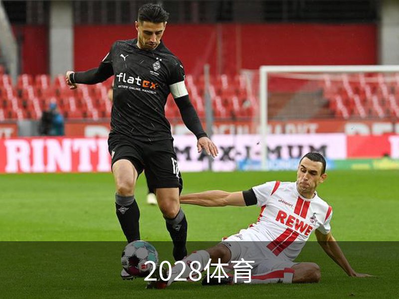 2028体育简介
